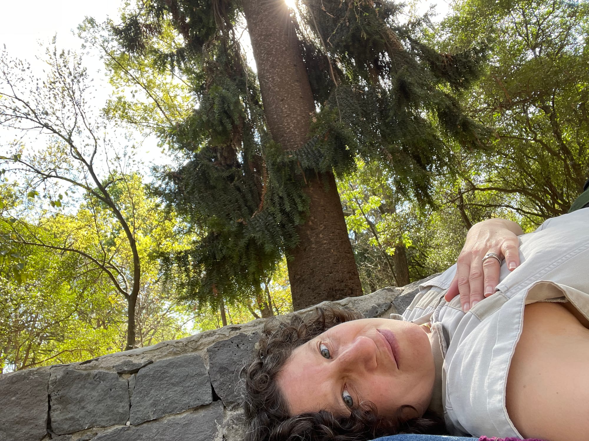 Woman lying down on a stone wall in a park with large trees