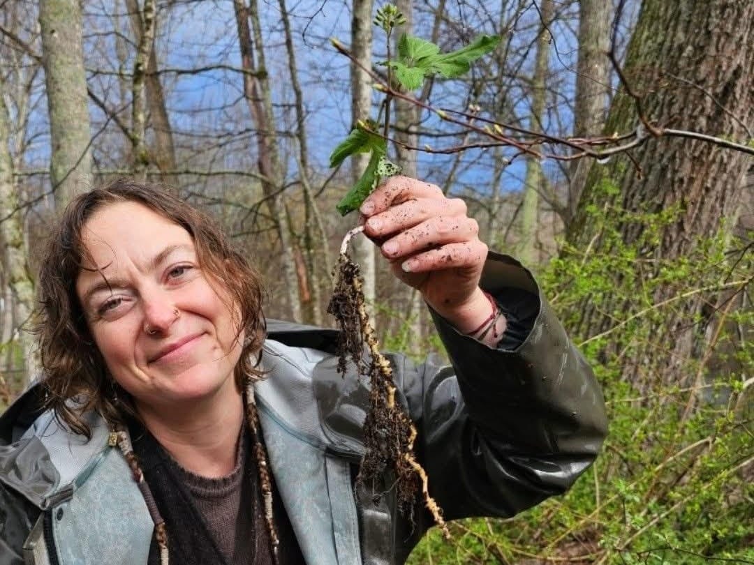 Sarah Lucas, Forager & Plant Guide