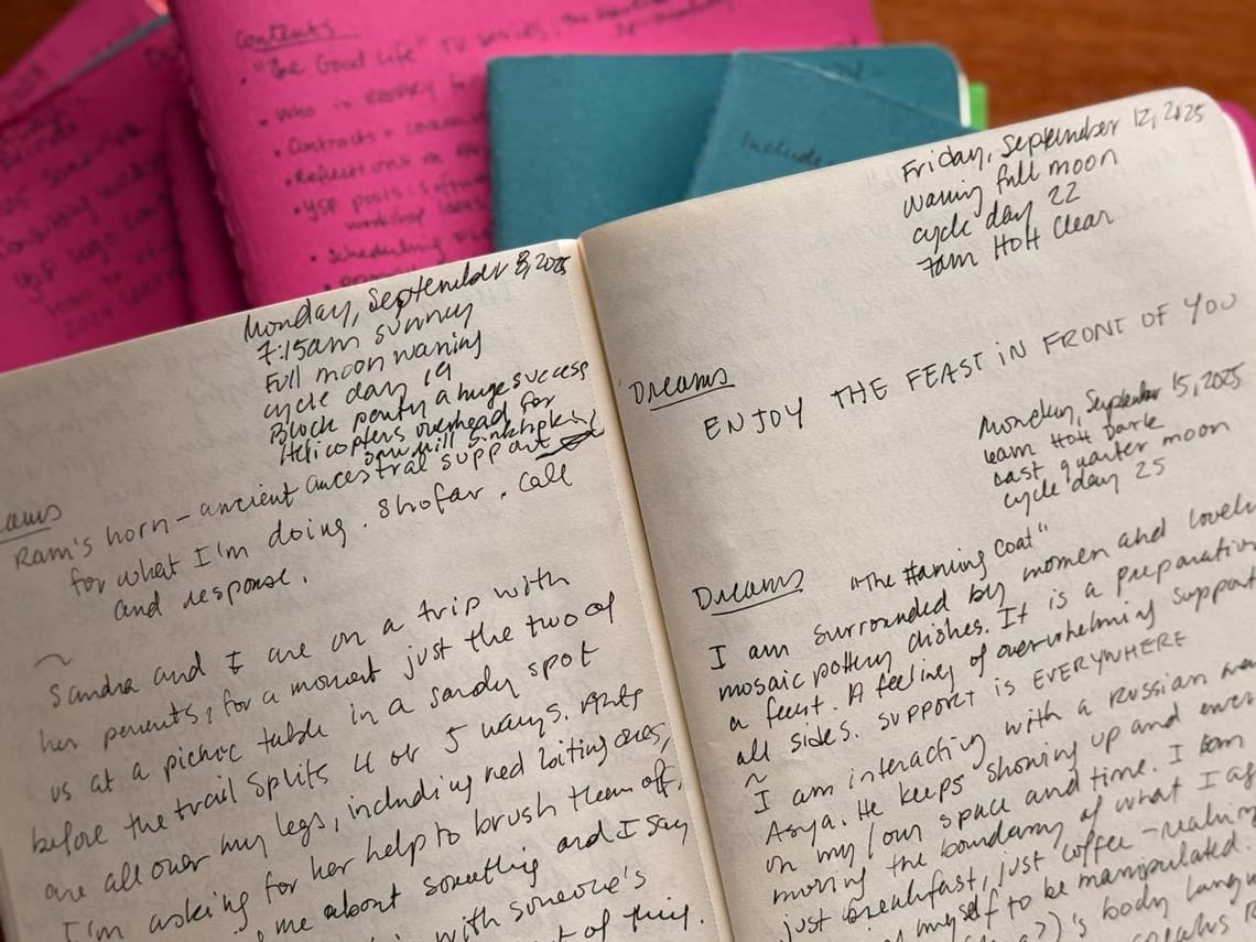 Year-End Journal Lookback - A Guided Meditation with Sarah Epps | 5 min