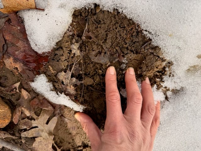 In the Muck | Events to Shed Winter