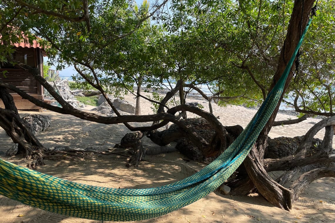 Sweeping the Pelvic Bowl | 6-min Springtime Meditation