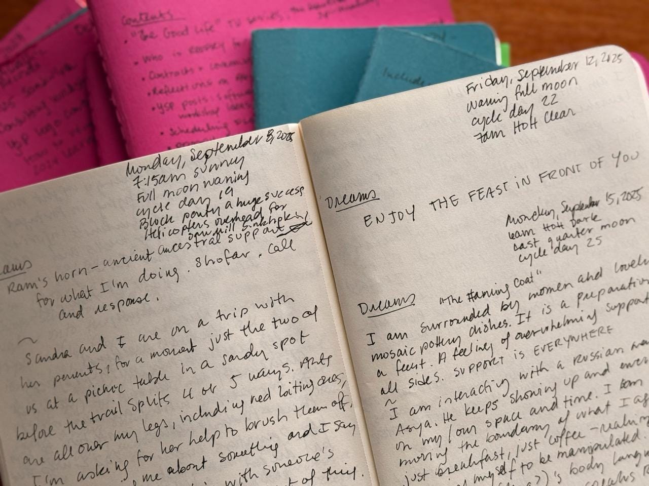A journal lays open to two pages filled with dreams written in script, laying atop a spread of pink and green journals from years past.