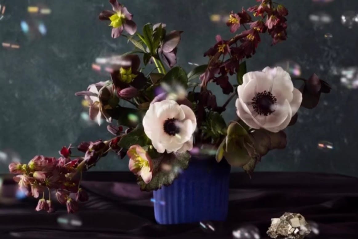 Root & Ritual: A Witches' Eve of Books & Cheese at HudCo | Dobbs Ferry, NY | Jan 15 7-9pm