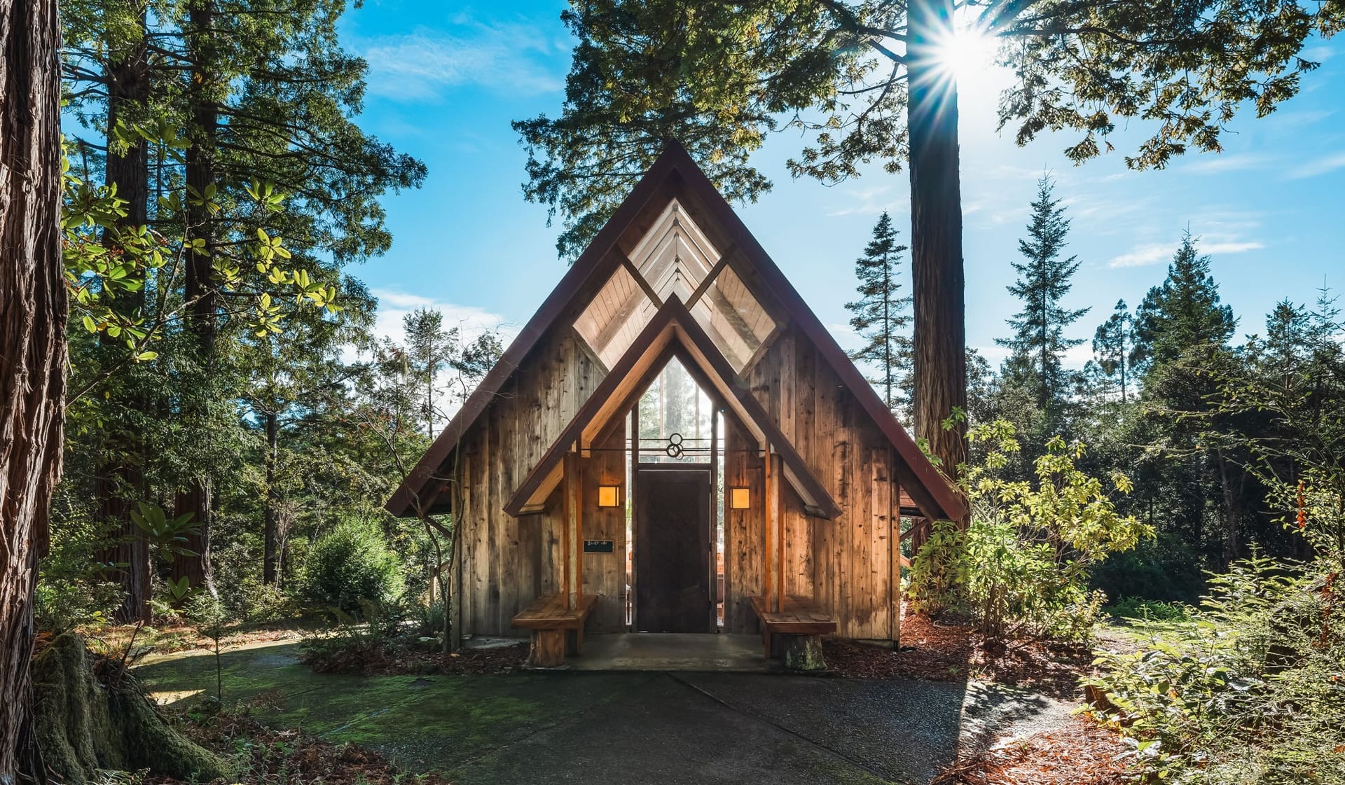 An A-frame cabin sits in a sunlit grove with redwood trees